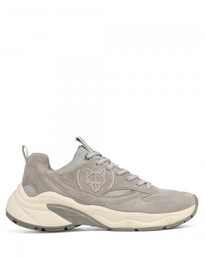 Tenisky Naked Wolfe Fox Grey Suede | QZYLUR367